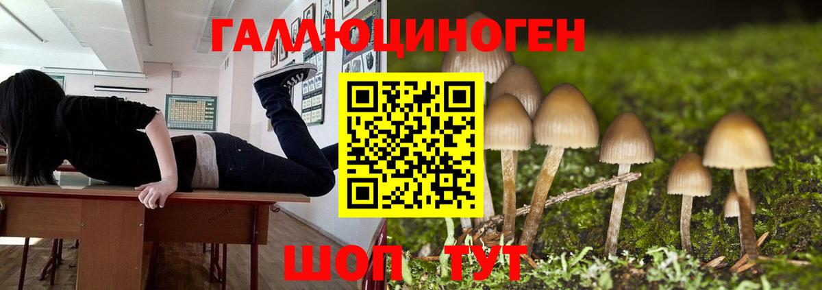 Галлюциногенные грибы мицелий  Вход с VPN  Псилоцибиновые грибы ЛСД  Кинель 